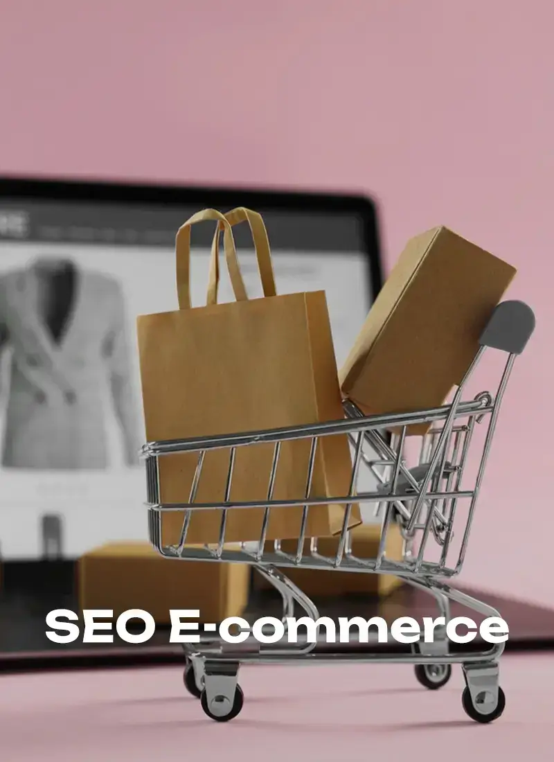 SEO E-commerce